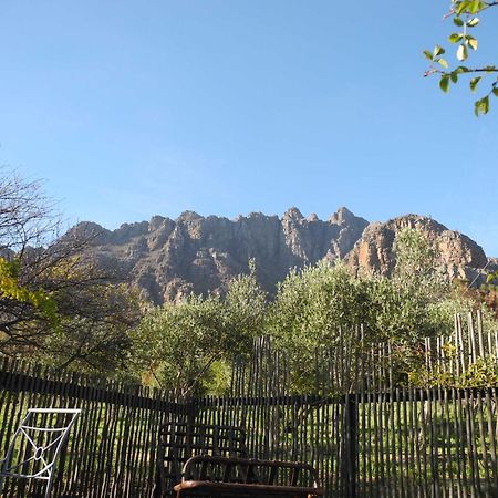 แอมเบิร์ก คันทรี เอสเตท Guest House พาร์ล ห้อง รูปภาพ